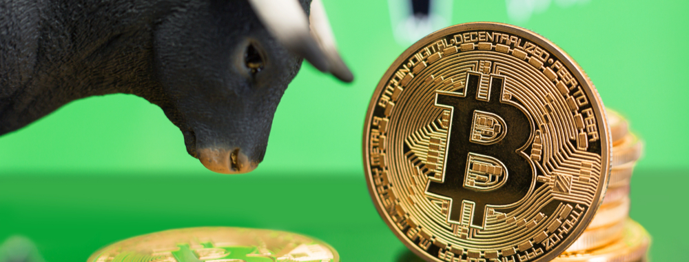 bitcoin bull banner