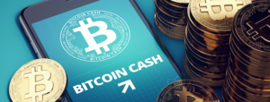 bitcoin cash banner shimbun